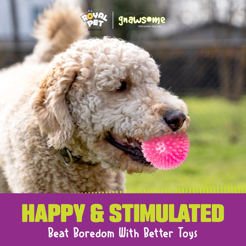 Gnawsomeâ„¢ 3.5â€ Spiky Squeak & Light Ball Dog Toy - Medium, Cleans Teeth and Promotes Good Dental and Gum Health for Your Pet, Colors will vary, 3.5" - Image 5